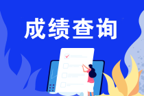 什么条件能申请2019注会成绩复核？