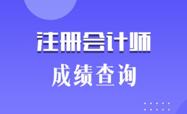 2019海南三亚注会成绩什么时候出来？