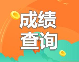 2019中级审计师成绩查询