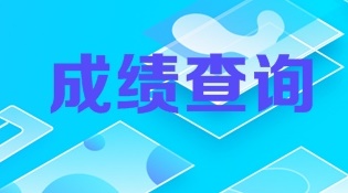 中级审计师成绩查询