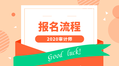 2020审计师报名流程