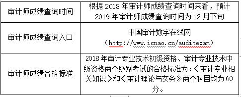 审计师成绩查询