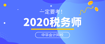 2020税务师