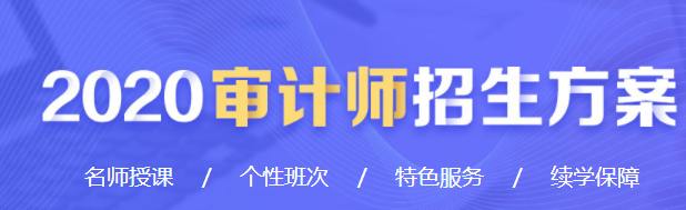 2020审计师招生方案