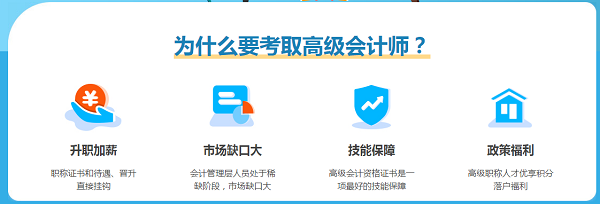 新手必入：高级会计师报名条件及考试流程