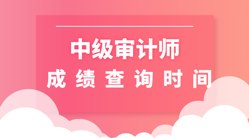 2019中级审计师成绩查询时间