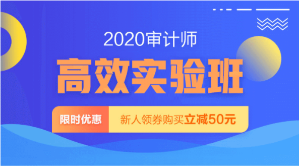 2020审计师高效实验班课程