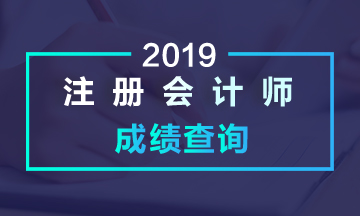 2019年福建注会成绩查询时间