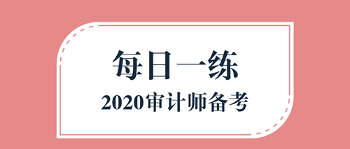 2020审计师备考