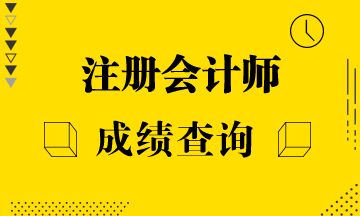 海南海口注会考试成绩查询时间