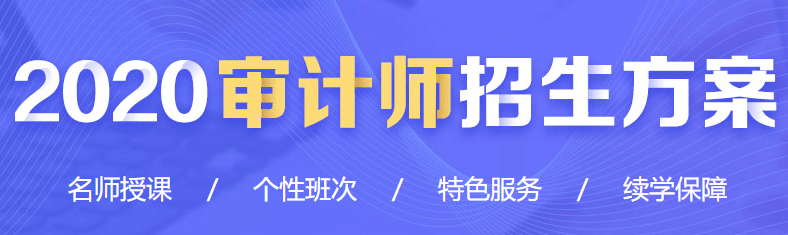 2020中级审计师课程