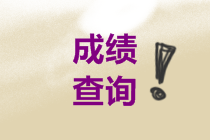 四川2019年高会考试成绩查询步骤