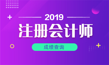 河北石家庄注会考试成绩查询时间