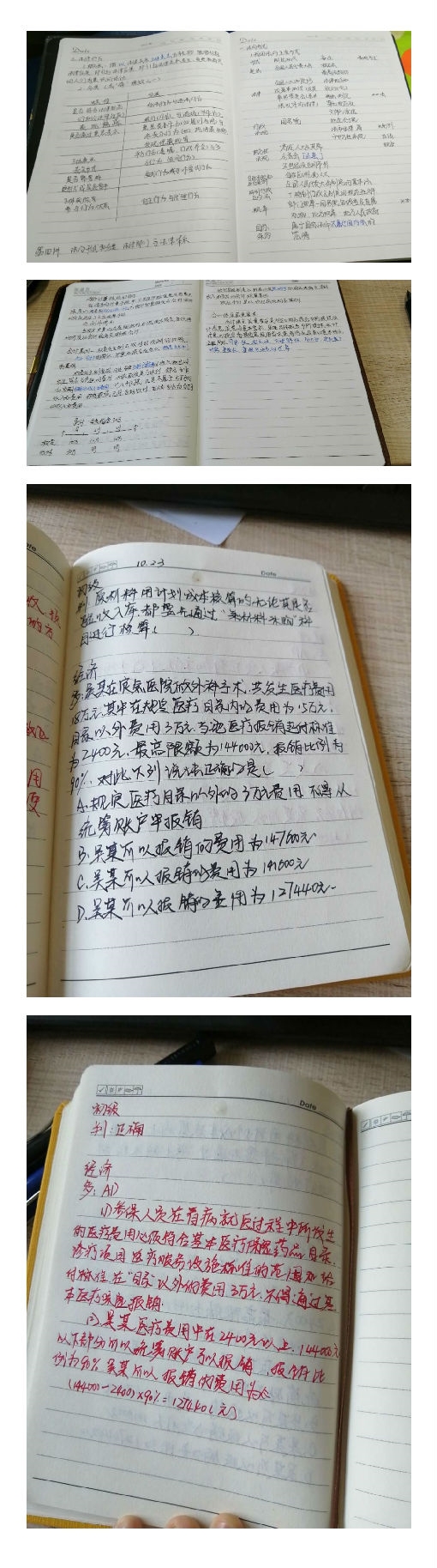 青藤计划