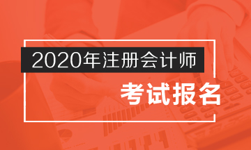广西2020注册会计师考试报名条件公布了吗？