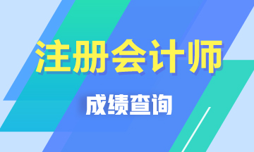 2019年注会考试成绩可以查询了！