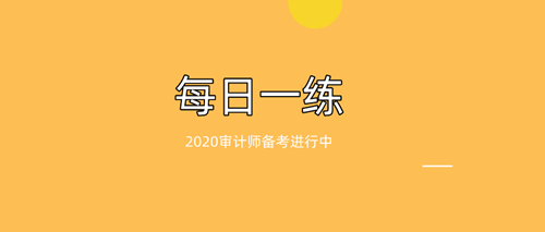 审计师每日一练