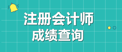 广东江门CPA成绩查询