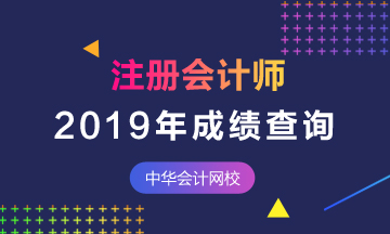 2019南京cpa考试成绩查询入口