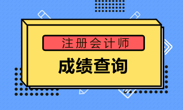 广东阳江2019年注会成绩查询