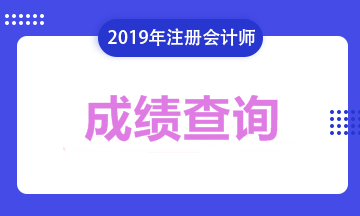 四川泸州CPA2019年成绩查询入口开通啦！