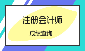 2019年河北廊坊注会成绩查询