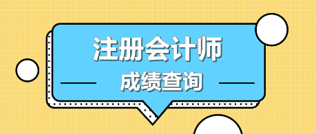 2019注会成绩查询