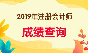 海南海口注会考试成绩查询