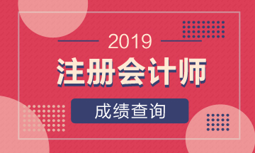 2019年平顶山注会考试成绩查询