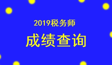 2019税务师成绩查询