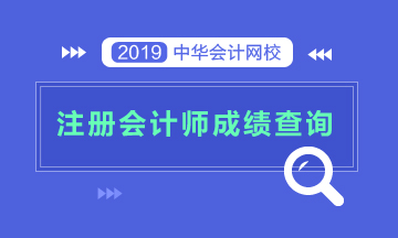 湖南岳阳2019年注会成绩查询