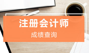 安徽合肥cpa2019年成绩查询入口已开通！