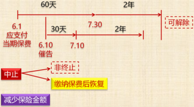 中级会计师《经济法》知识点：投保人的义务