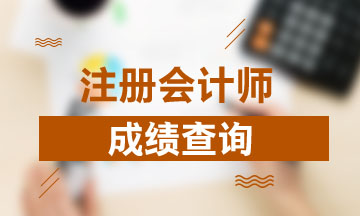 2019年河南郑州cpa成绩可以查询了！