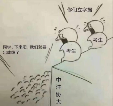 税务师成绩合格标准已经出来了！