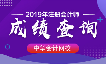 2019年岳阳CPA成绩查询入口