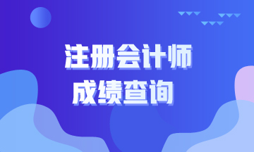 内蒙古2019年注会考试成绩查询