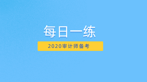 2020审计师备考