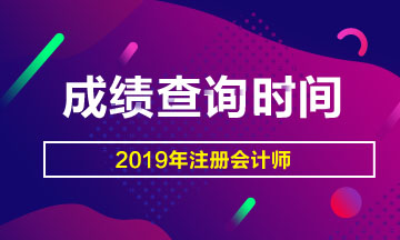 2019年cpa什么时候出成绩