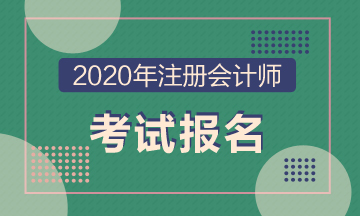 2020年CPA全国统考的报名时间、考试时间