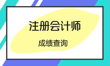 2019年四川成都注会成绩什么时候出？