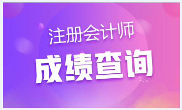 海南注会成绩查询入口开通了