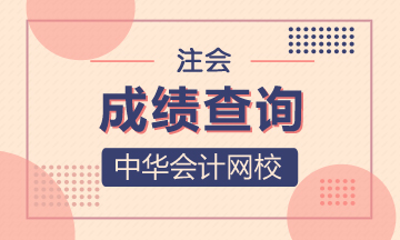 辽宁注会考试成绩可以查啦！