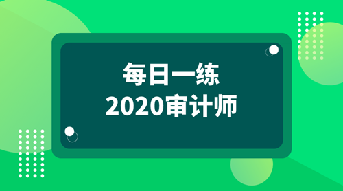 2020审计师每日一练