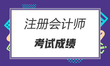 天津2019年注会成绩查询