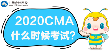 CMA 2020年什么时候考试？