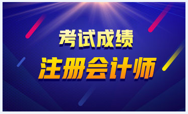 2019年江苏南京cpa成绩查询入口已开通