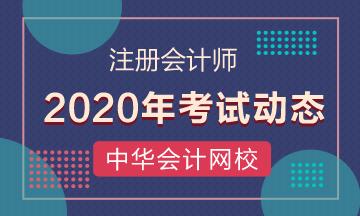 2020年cpa考试时间是哪天？