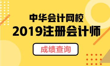 北京2019年CPA官网成绩查询时间