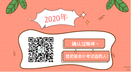 确认过眼神 是2020年初级会计考试选的人！